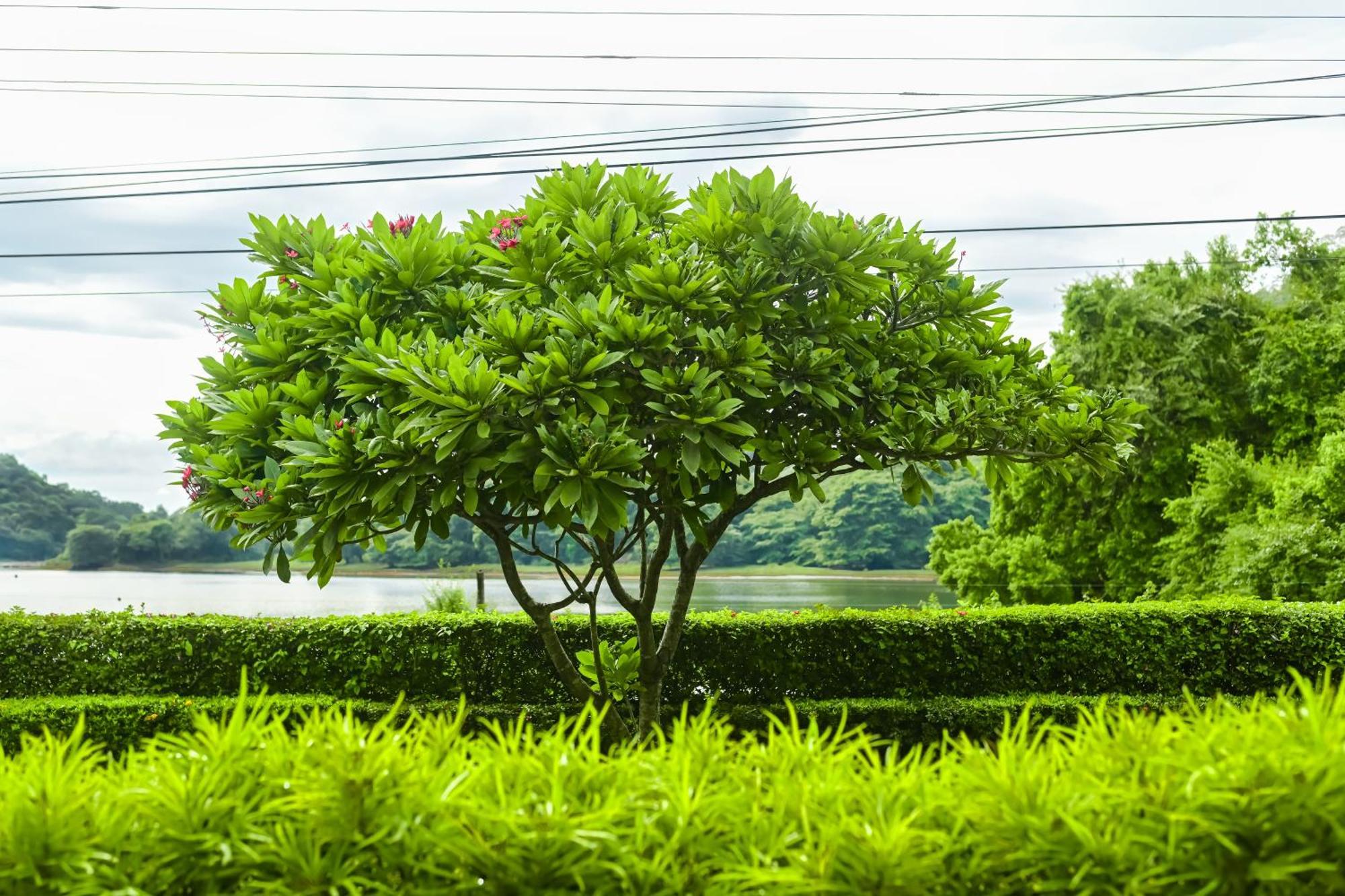 Agbo Hotel โปลอนนารูวา ภายนอก รูปภาพ