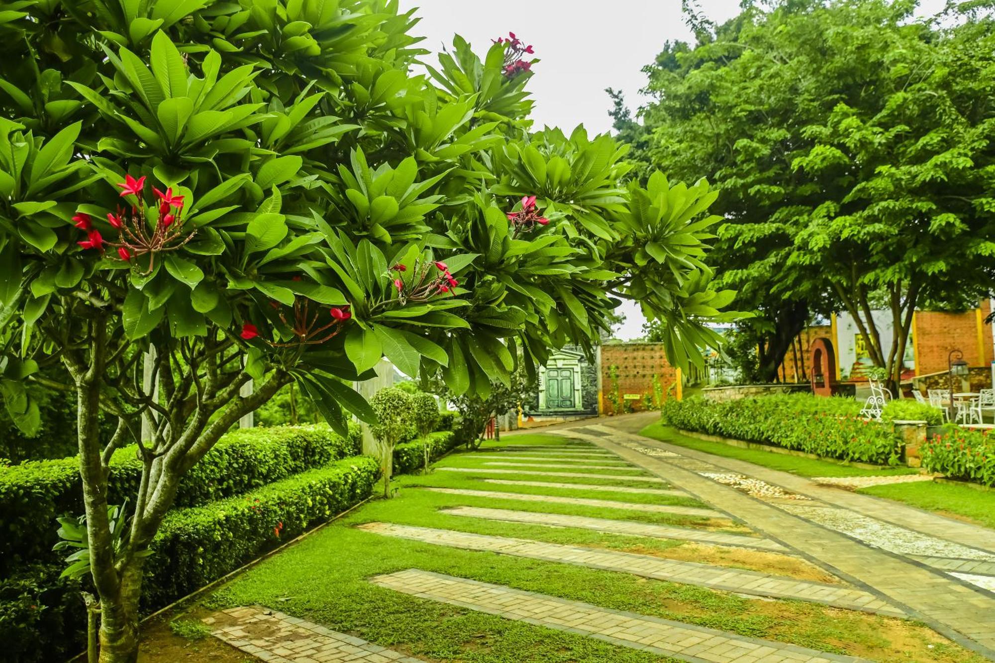 Agbo Hotel โปลอนนารูวา ภายนอก รูปภาพ